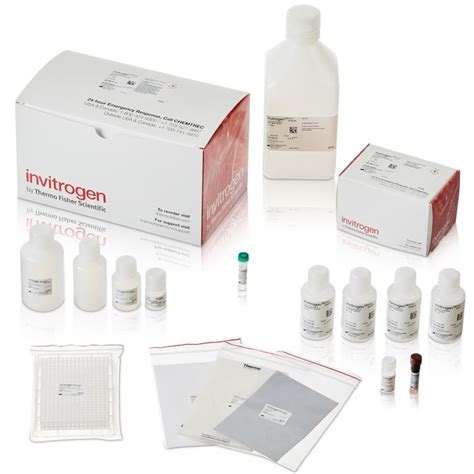 Quantigene™ Plex 384 Well Assay Kit