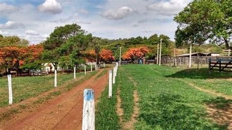 Chácara de 09 alqueires em Goianápolis Go Terrenos sítios e fazendas