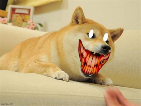 ANGRY DOGE Memes - Imgflip