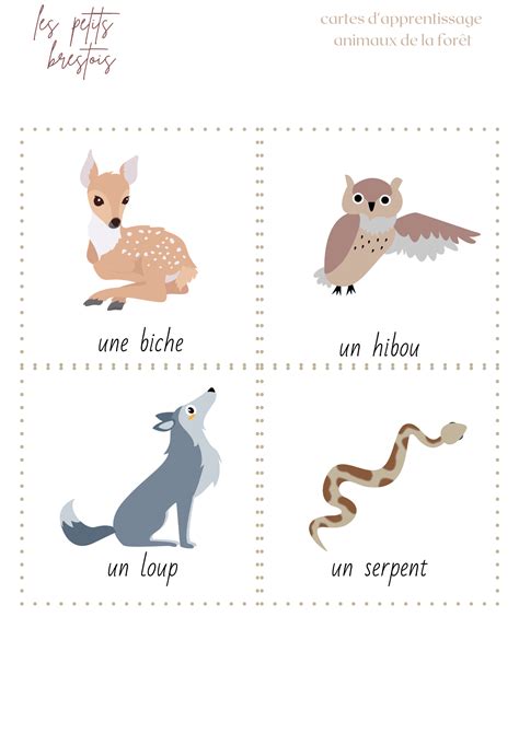 Carte nomenclature animaux de la forêt