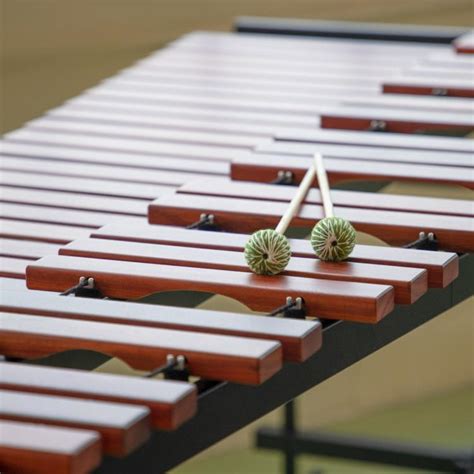 Guide To The Orchestra Mallet Percussion Instruments Atelier Yuwaciaojp