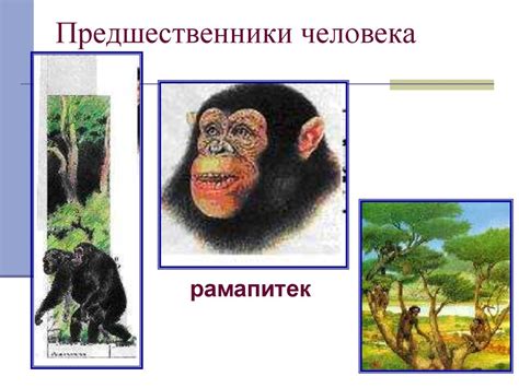 Развитие взглядов на происхождение человека - презентация онлайн