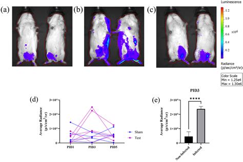 Use Of Nluc Zikv For In Vivo Bioluminescence Imaging Bli Ac