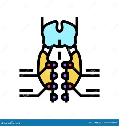 Parathyroid Gland Endocrinology Color Icon Vector Illustration Stock