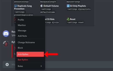 How To Add Rythm Bot To Discord Scrapewithbots