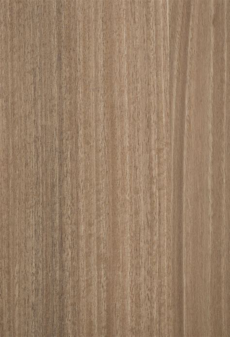 Spotted Gum 18105 George Fethers