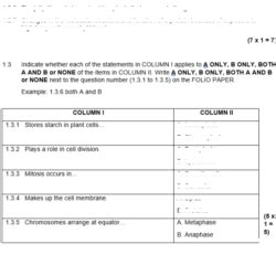 Grade 10 Life Sciences September Exam And Memo Paper 2 2023 Teacha