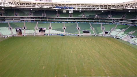 Novo gramado Allianz Parque já está plantado veja foto Lance