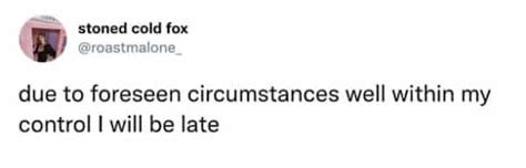 30 Hot Mess Memes If Your Life Is A Constant Dumpster Fire