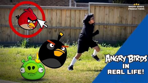 Angry Birds In Real Life YouTube