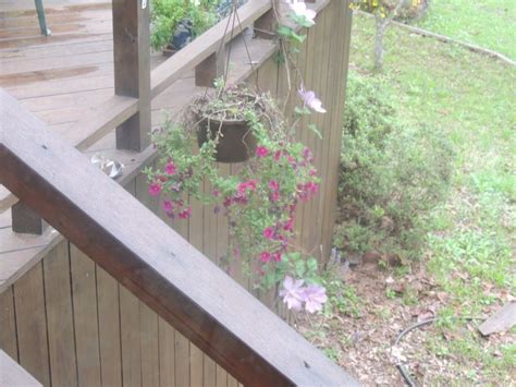 Pin By Cyndi On Vacation Hot Springs Day 5 Spring Day Hot Springs Plants