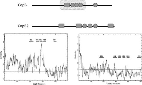 Schematic Representation Of Predicted Secondary Structures And Areas Of