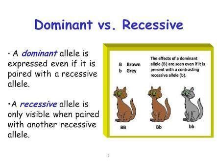 Recessive Definition