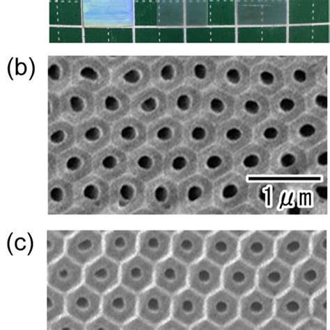 A Photograph Of Porous Alumina Membranes Detached From Al Substrate