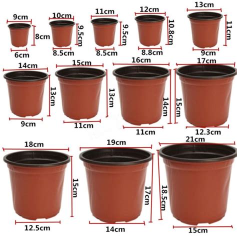 Nursery Pot Sizes for Planting Flowers