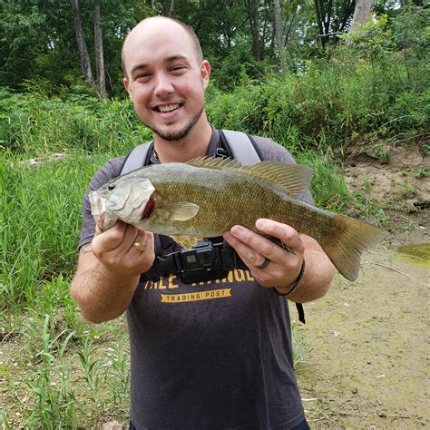 small creek big smallmouth    wading   awesome