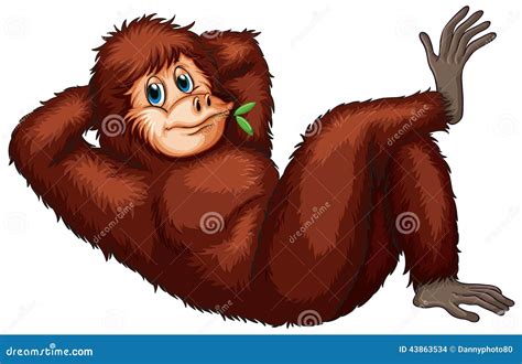 Orangutan Stock Vector Illustration Of Monkey Hairy 43863534