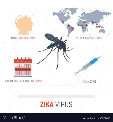 Infographic Zika