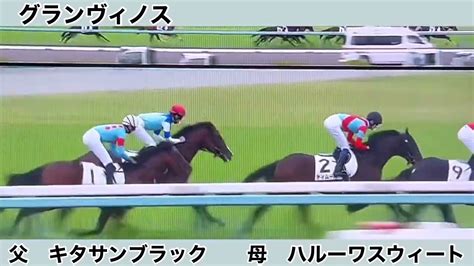 【阪神新馬戦】ハルーワスウィート一族から大物誕生！？【グランヴィノス】 競馬動画まとめ