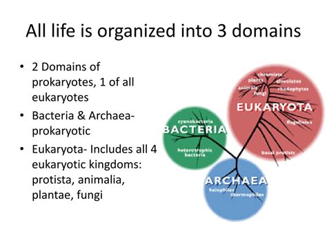 Ppt Sexual Life Cycles Plant Structure And Phylogeny Powerpoint