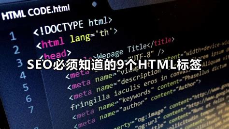 Seo包含什么标签（seo关键词优化分析） 8848seo