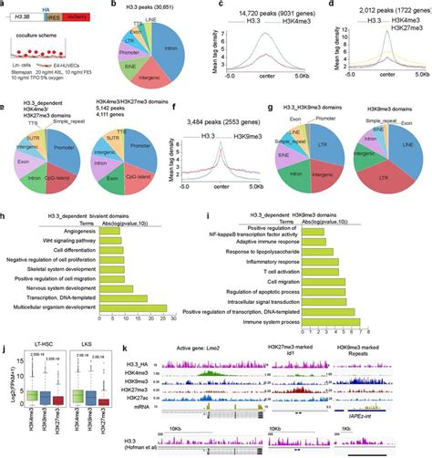 H33 Enrichment Colocalizes With Active Histone Marks H3k4me3 And