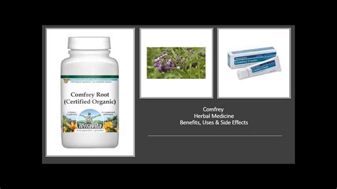 Comfrey Herbal Medicine Benefits Uses Side Effects