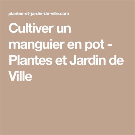 Cultiver Un Manguier En Pot Plantes Et Jardin De Ville Culture Des