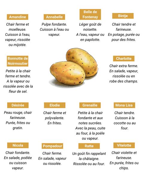 23 recettes originales soufflées par les chefs pour cuisiner la pomme