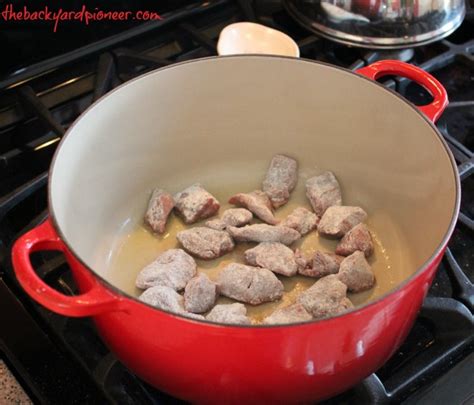 The Best Venison Stew You Ll Ever Have The Backyard Pioneer