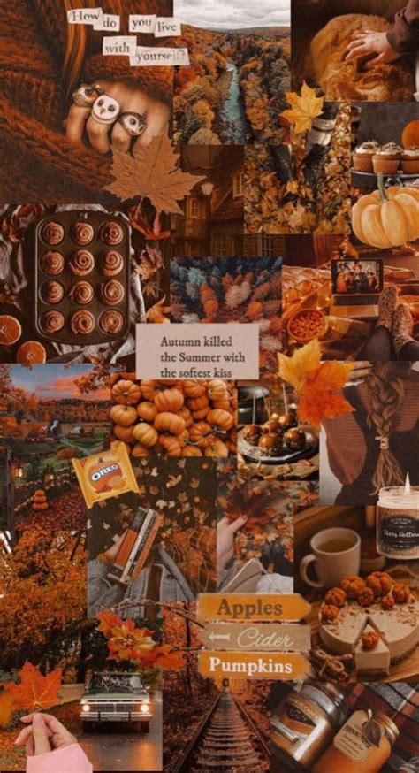 Harvest Harmony Collages Of Autumn S Beauty Apple Cider Collage For