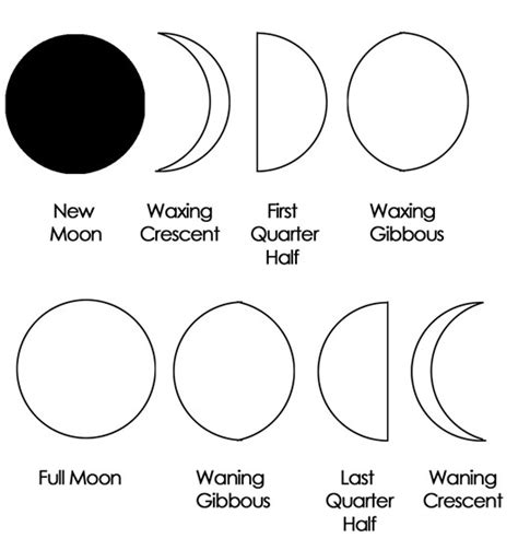 Moon Phases Coloring Pages