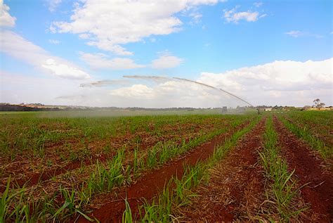 Fertirriga O Traz M Ltiplas Vantagens Ao Canavial Revista Campo