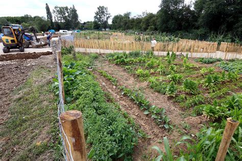 ENVIRONNEMENT PHOTOS Jardins familiaux de lÎle de la Seille une