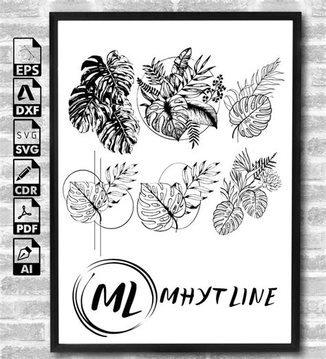 Tropical Leaves Svg Monstera Leaf Svg Clipart Commercial Use Svg Jungle