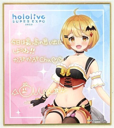 駿河屋 夜空メル 「バーチャルyoutuber ホロライブ Hololive Super Expo 2023 ランダムメッセージ色紙 0期