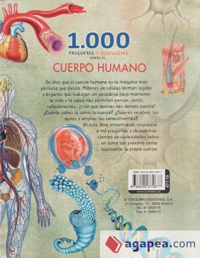 Preguntas Y Respuestas Sobre El Cuerpo Humano Vv Aa