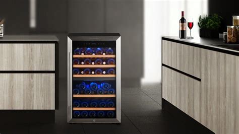 Top Best Free Standing Wine Coolers Reviews