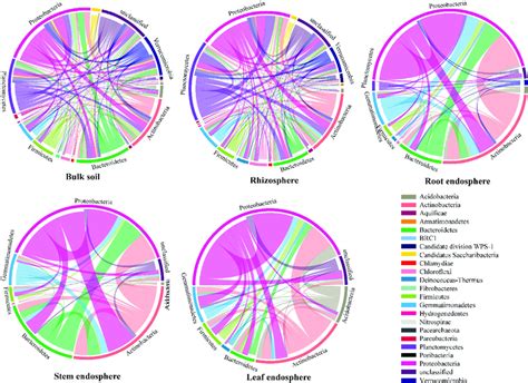 Circos Plots Showing The Distribution Of Links Among Interacting Phyla