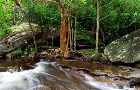 Exploring Phu Quoc National Park A Pristine Beauty In Phu Quoc