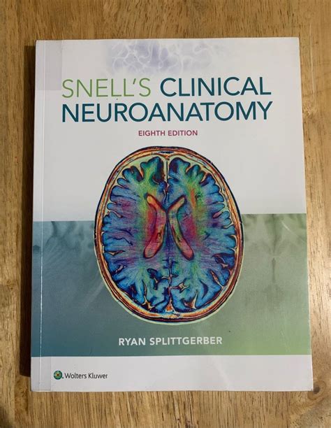 Snells Clinical Neuroanatomy 8th Ed Hobbies Toys Books