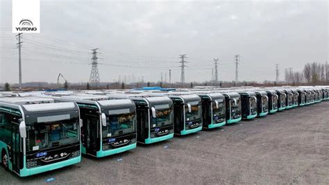 Yutong Completed Delivery Of E Buses In Qatar Ready For Fifa