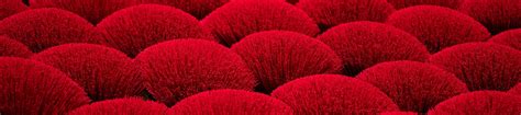 Стоковые фотографии и изображения без лицензионных отчислений | Adobe Stock