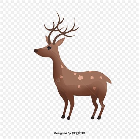 Deer Antlers Clipart Transparent Background, Wild Animal Sika Deer Antlers, Wild Animal, Sika ...