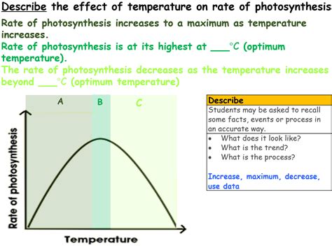 Limiting Factors Of Photosynthesis Teaching Resources