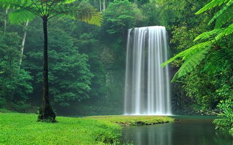 Fondos De Pantalla Cascadas En Medio Del Campo De Hierba Verde