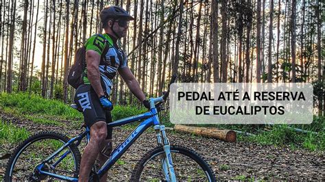 Pedalando At Uma Reserva De Eucaliptos Mountain Bike Youtube