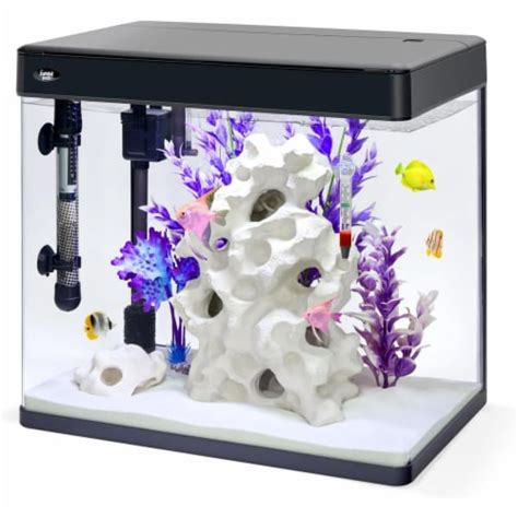 Jumblpets Premium Fish Aquarium Kit Complete Glass Fish Tank Kit With