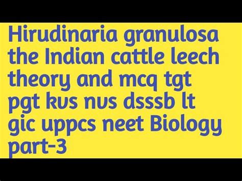 Hirudinaria Theory And Mcq Tgt Pgt Kvs Nvs Dsssb Lt Gic Uppcs Neet