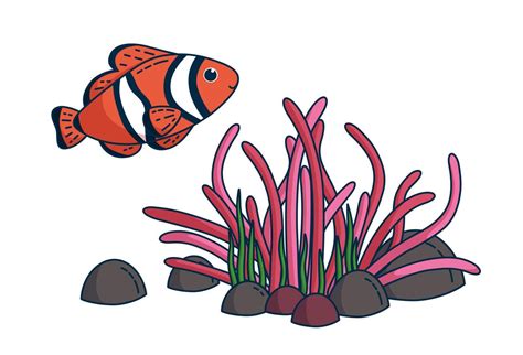 Clownfish And Anemone Vector Illustration 23135899 Vector Art At Vecteezy